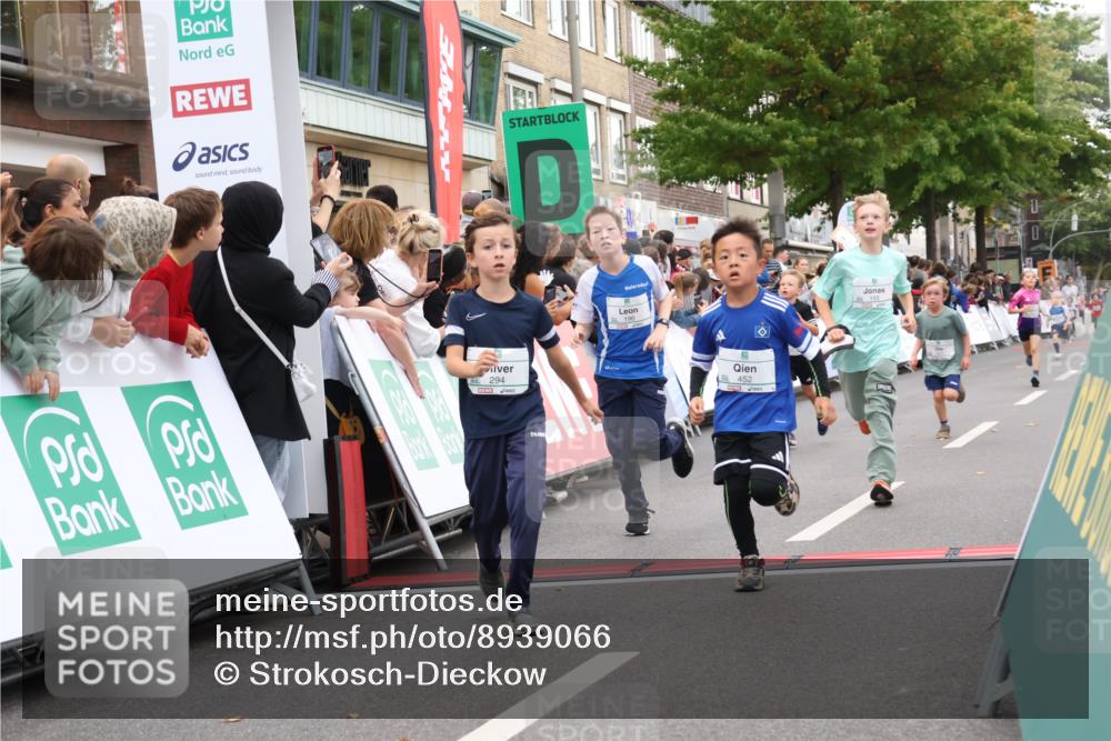 21.09.2025 - PSD Bank Halbmarathon Strokosch-Dieckow http://msf.ph/oto/8939066 21.09.2025 10:29:10 Ziel 134, 155, 167, 168, 194, 196, 212, 258, 267, 294, 412, 443, 452 meine-sportfotos.de