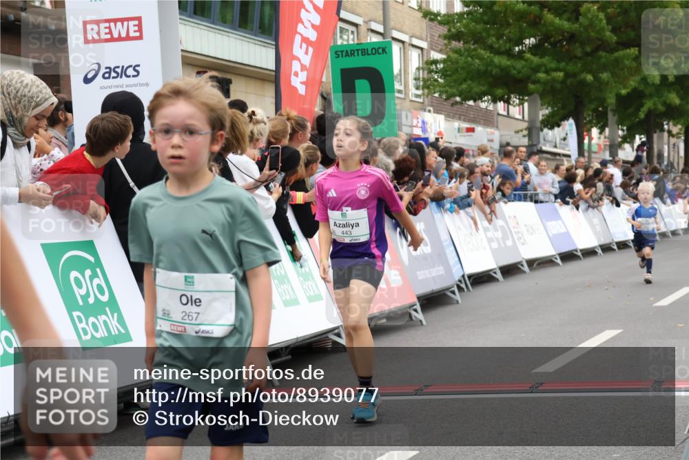 21.09.2025 - PSD Bank Halbmarathon Strokosch-Dieckow http://msf.ph/oto/8939077 21.09.2025 10:29:16 Ziel 155, 168, 196, 267, 294, 327, 416, 443, 452 meine-sportfotos.de