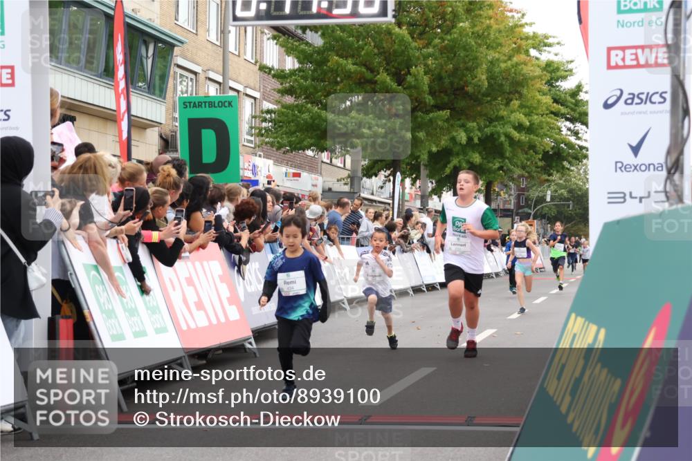 21.09.2025 - PSD Bank Halbmarathon Strokosch-Dieckow http://msf.ph/oto/8939100 21.09.2025 10:29:29 Ziel 233, 250, 261, 301, 345, 381, 390, 395, 434, 455 meine-sportfotos.de
