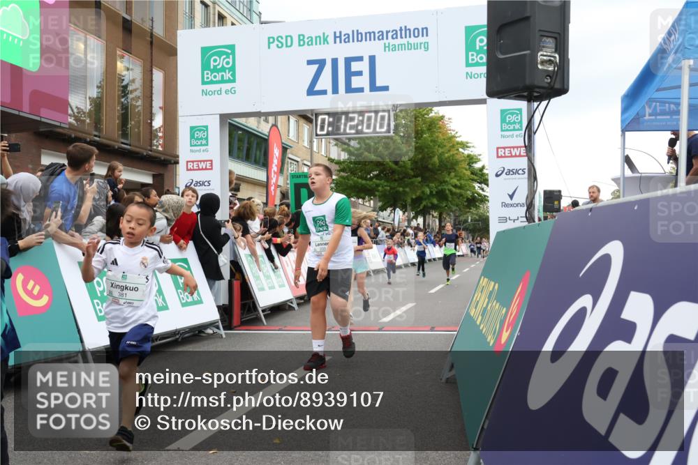 21.09.2025 - PSD Bank Halbmarathon Strokosch-Dieckow http://msf.ph/oto/8939107 21.09.2025 10:29:32 Ziel 166, 233, 250, 261, 301, 345, 381, 406, 434, 455 meine-sportfotos.de