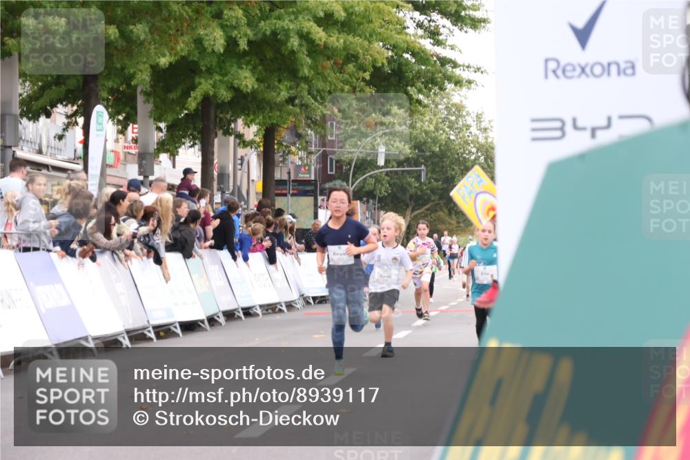 21.09.2025 - PSD Bank Halbmarathon Strokosch-Dieckow http://msf.ph/oto/8939117 21.09.2025 10:29:38 Ziel 132, 166, 233, 250, 301, 328, 381, 406, 453 meine-sportfotos.de