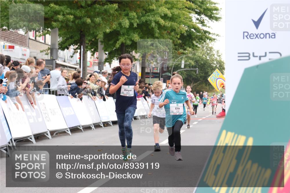 21.09.2025 - PSD Bank Halbmarathon Strokosch-Dieckow http://msf.ph/oto/8939119 21.09.2025 10:29:40 Ziel 132, 166, 301, 328, 406, 453 meine-sportfotos.de