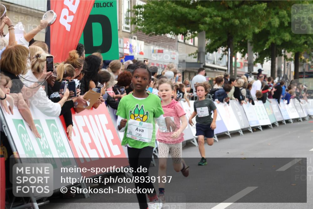 21.09.2025 - PSD Bank Halbmarathon Strokosch-Dieckow http://msf.ph/oto/8939137 21.09.2025 10:29:53 Ziel 103, 201, 235, 271, 296, 300, 319, 393 meine-sportfotos.de