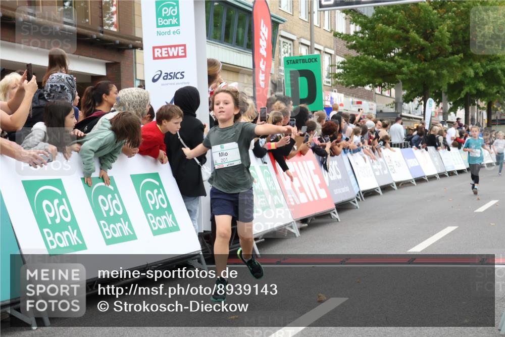 21.09.2025 - PSD Bank Halbmarathon Strokosch-Dieckow http://msf.ph/oto/8939143 21.09.2025 10:29:56 Ziel 103, 131, 201, 271, 296, 300, 319 meine-sportfotos.de