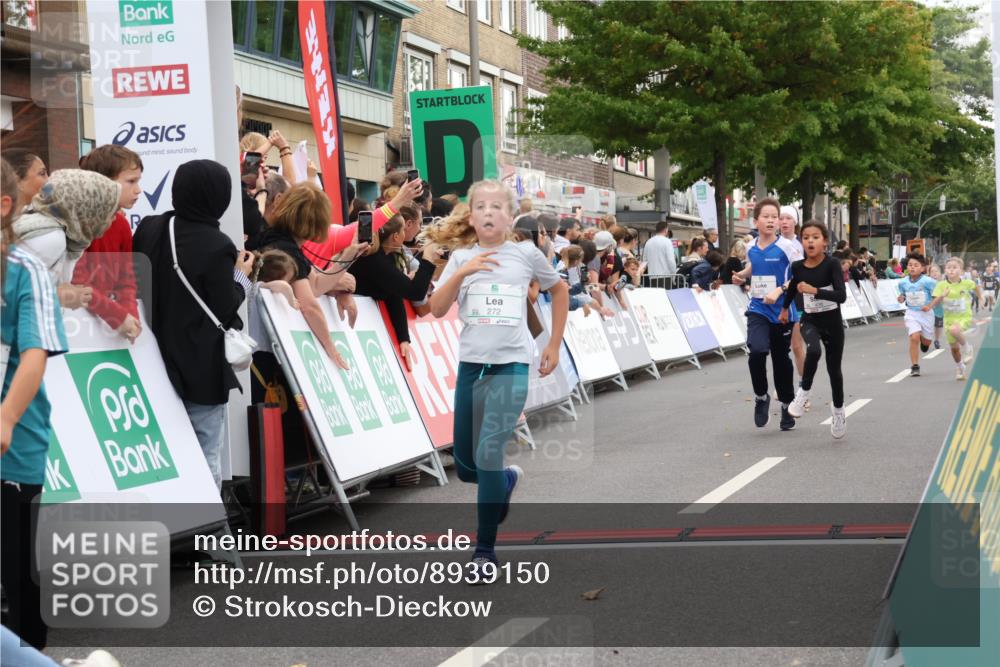 21.09.2025 - PSD Bank Halbmarathon Strokosch-Dieckow http://msf.ph/oto/8939150 21.09.2025 10:30:04 Ziel 131, 195, 234, 272, 276, 430, 438 meine-sportfotos.de