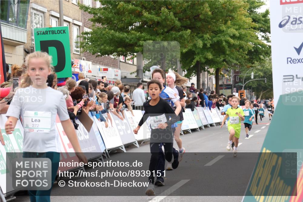 21.09.2025 - PSD Bank Halbmarathon Strokosch-Dieckow http://msf.ph/oto/8939151 21.09.2025 10:30:05 Ziel 131, 195, 234, 272, 276, 430, 438 meine-sportfotos.de
