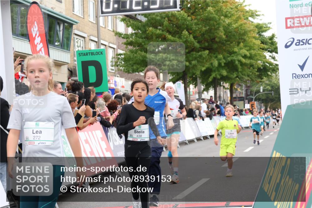 21.09.2025 - PSD Bank Halbmarathon Strokosch-Dieckow http://msf.ph/oto/8939153 21.09.2025 10:30:06 Ziel 131, 140, 195, 234, 272, 276, 430, 438 meine-sportfotos.de