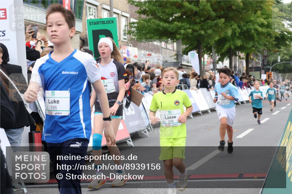 21.09.2025 - PSD Bank Halbmarathon Strokosch-Dieckow http://msf.ph/oto/8939156 21.09.2025 10:30:07 Ziel 131, 140, 195, 234, 272, 276, 430, 438 meine-sportfotos.de