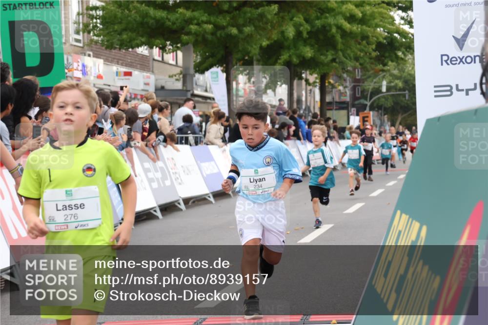 21.09.2025 - PSD Bank Halbmarathon Strokosch-Dieckow http://msf.ph/oto/8939157 21.09.2025 10:30:08 Ziel 131, 140, 195, 234, 272, 276, 430, 438 meine-sportfotos.de
