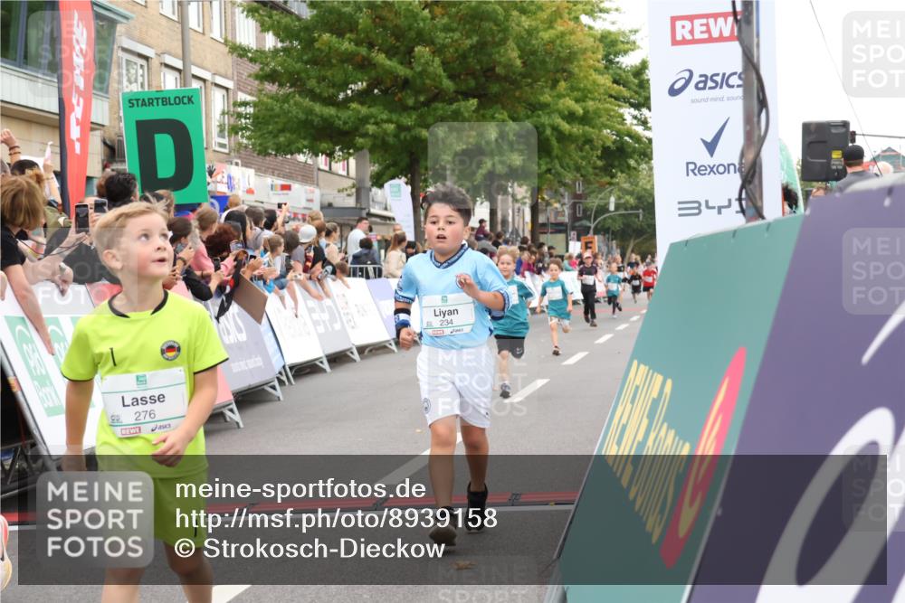 21.09.2025 - PSD Bank Halbmarathon Strokosch-Dieckow http://msf.ph/oto/8939158 21.09.2025 10:30:09 Ziel 140, 141, 195, 234, 272, 276, 430, 438 meine-sportfotos.de