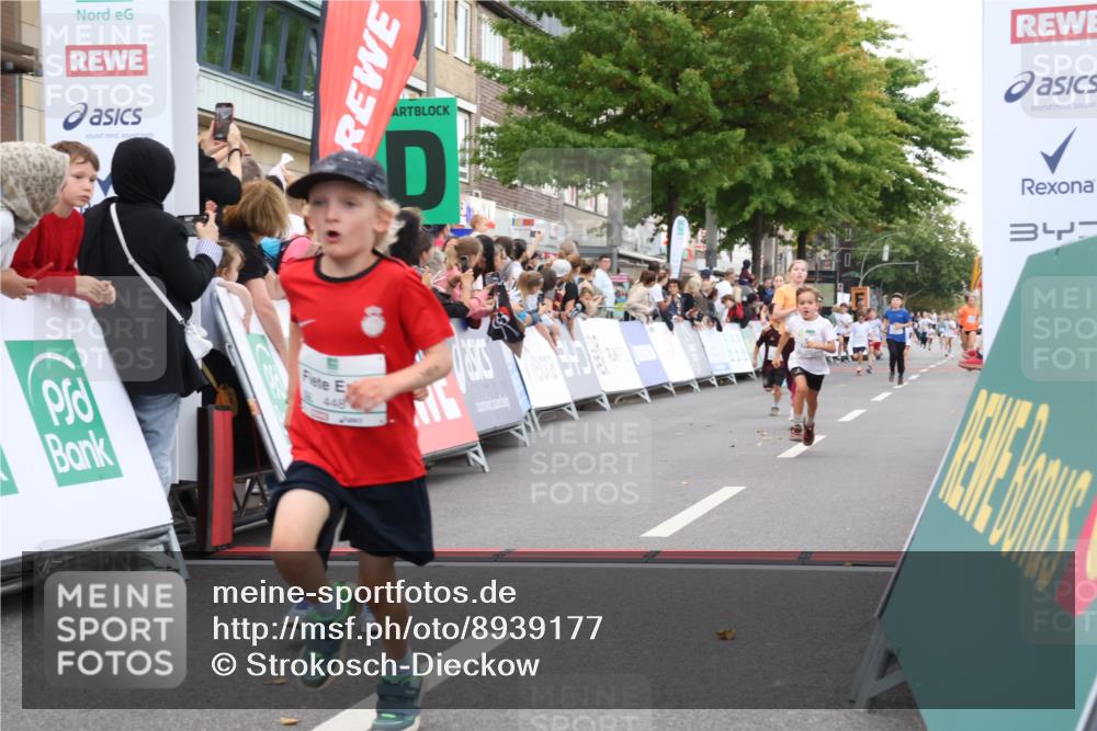 21.09.2025 - PSD Bank Halbmarathon Strokosch-Dieckow http://msf.ph/oto/8939177 21.09.2025 10:30:20 Ziel 141, 145, 231, 243, 245, 448, 458, 459 meine-sportfotos.de
