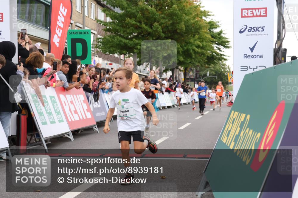 21.09.2025 - PSD Bank Halbmarathon Strokosch-Dieckow http://msf.ph/oto/8939181 21.09.2025 10:30:23 Ziel 145, 227, 231, 243, 245, 343, 377, 407, 448, 458, 459 meine-sportfotos.de