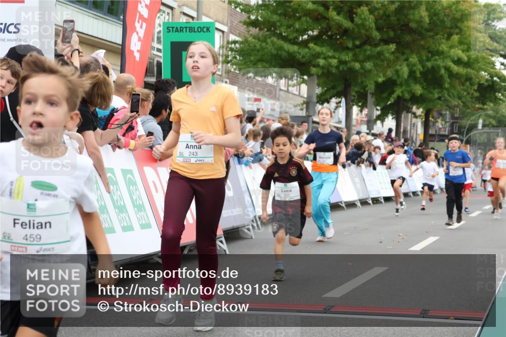 21.09.2025 - PSD Bank Halbmarathon Strokosch-Dieckow http://msf.ph/oto/8939183 21.09.2025 10:30:24 Ziel 102, 104, 145, 227, 231, 243, 343, 377, 407, 448, 458, 459 meine-sportfotos.de