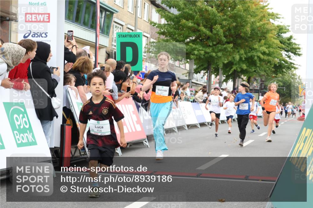 21.09.2025 - PSD Bank Halbmarathon Strokosch-Dieckow http://msf.ph/oto/8939186 21.09.2025 10:30:25 Ziel 102, 104, 145, 227, 231, 243, 343, 377, 382, 407, 448, 458, 459 meine-sportfotos.de