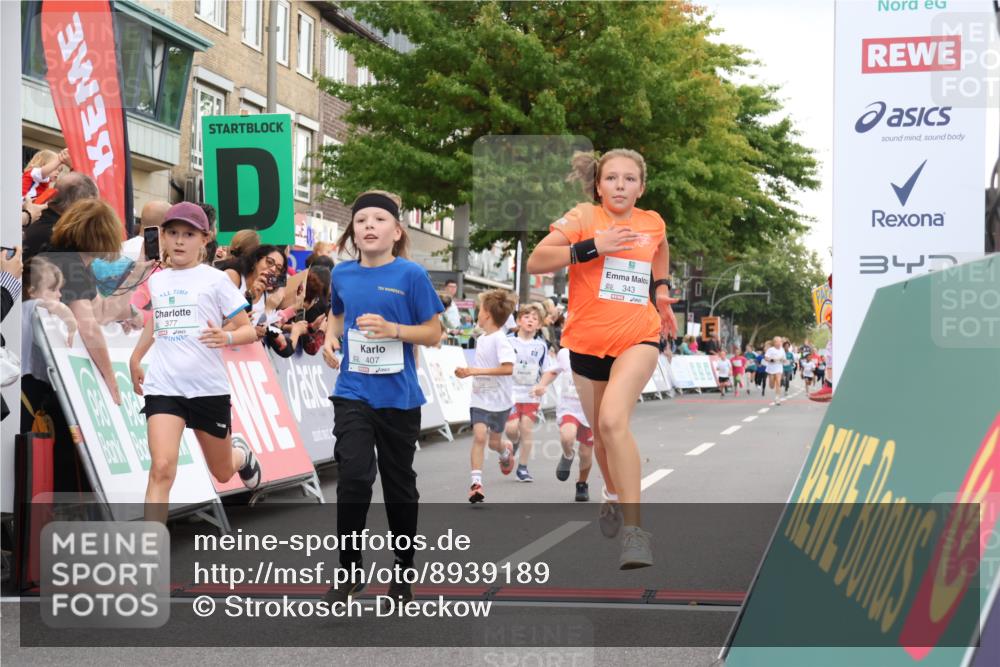 21.09.2025 - PSD Bank Halbmarathon Strokosch-Dieckow http://msf.ph/oto/8939189 21.09.2025 10:30:27 Ziel 102, 104, 145, 227, 243, 343, 377, 382, 407, 448, 458, 459 meine-sportfotos.de