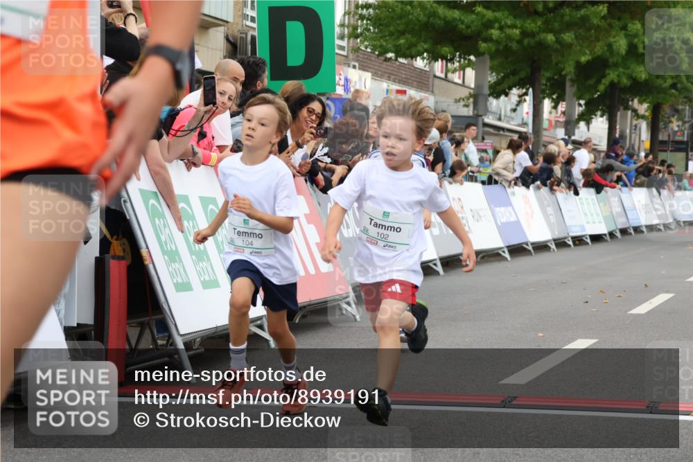 21.09.2025 - PSD Bank Halbmarathon Strokosch-Dieckow http://msf.ph/oto/8939191 21.09.2025 10:30:29 Ziel 102, 104, 227, 243, 343, 377, 382, 407, 458, 459 meine-sportfotos.de