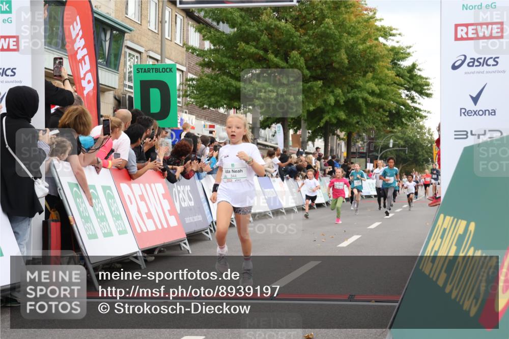 21.09.2025 - PSD Bank Halbmarathon Strokosch-Dieckow http://msf.ph/oto/8939197 21.09.2025 10:30:35 Ziel 102, 104, 151, 343, 344, 351, 370, 377, 382, 407 meine-sportfotos.de