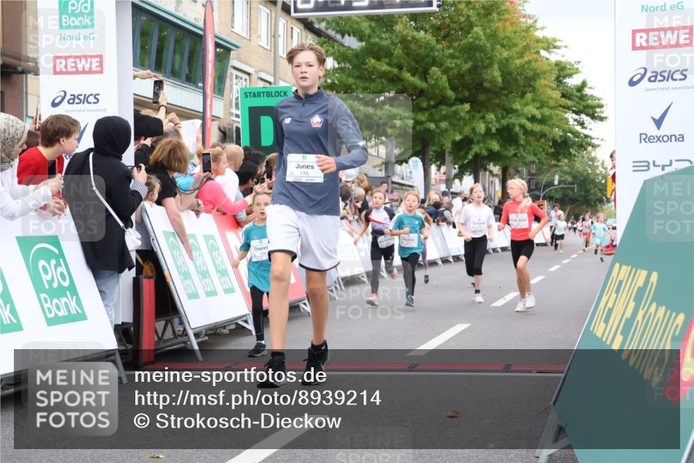 21.09.2025 - PSD Bank Halbmarathon Strokosch-Dieckow http://msf.ph/oto/8939214 21.09.2025 10:30:46 Ziel 116, 129, 151, 246, 263, 320, 324, 351, 370, 375, 402, 405, 431, 456, 457 meine-sportfotos.de