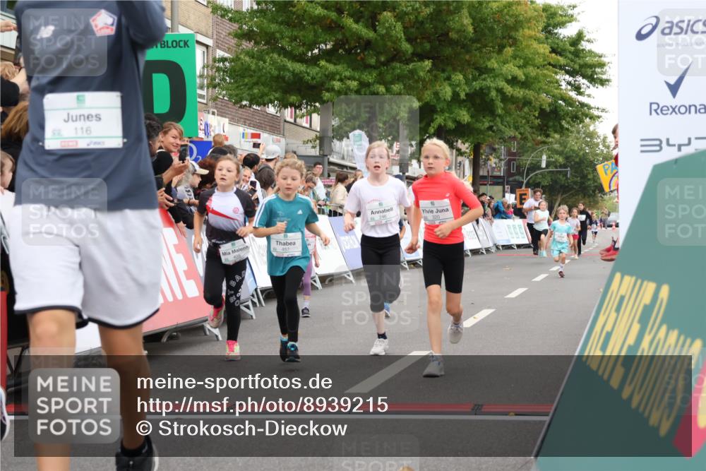 21.09.2025 - PSD Bank Halbmarathon Strokosch-Dieckow http://msf.ph/oto/8939215 21.09.2025 10:30:47 Ziel 116, 129, 151, 246, 263, 320, 324, 370, 375, 402, 405, 431, 456, 457 meine-sportfotos.de