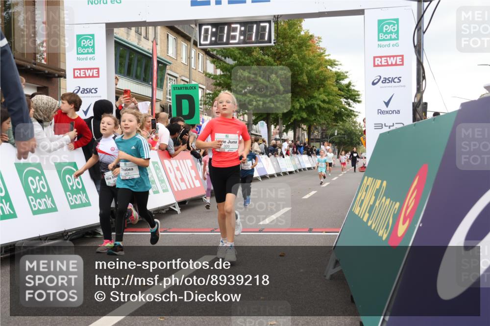 21.09.2025 - PSD Bank Halbmarathon Strokosch-Dieckow http://msf.ph/oto/8939218 21.09.2025 10:30:49 Ziel 116, 117, 246, 263, 320, 324, 375, 402, 405, 431, 456, 457 meine-sportfotos.de