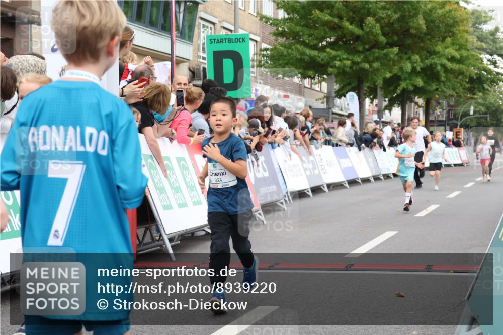 21.09.2025 - PSD Bank Halbmarathon Strokosch-Dieckow http://msf.ph/oto/8939220 21.09.2025 10:30:51 Ziel 108, 116, 117, 246, 320, 324, 335, 402, 405, 456, 457 meine-sportfotos.de