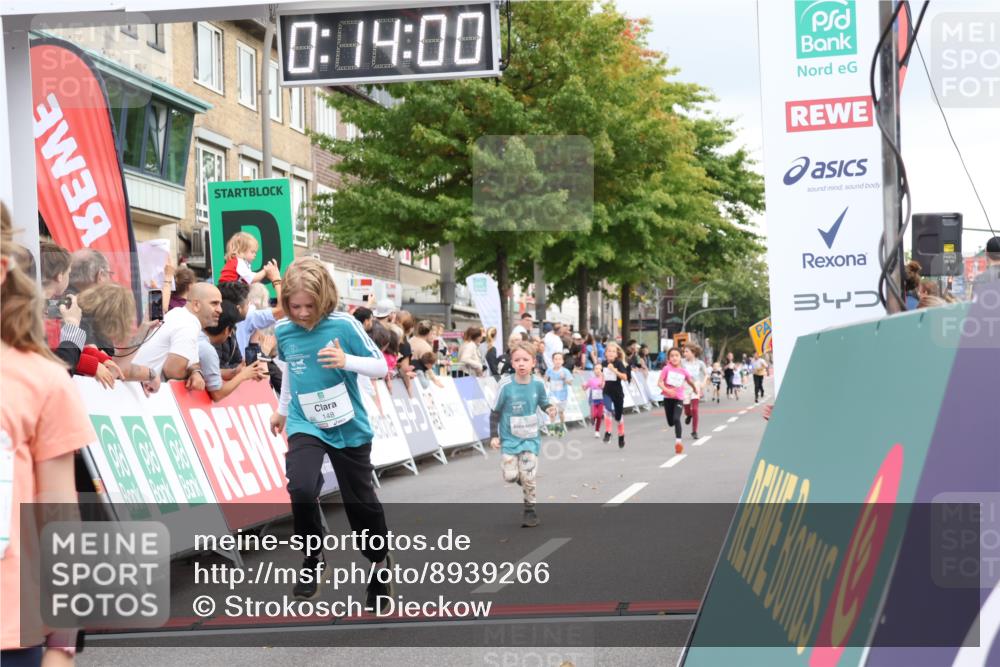 21.09.2025 - PSD Bank Halbmarathon Strokosch-Dieckow http://msf.ph/oto/8939266 21.09.2025 10:31:32 Ziel 139, 147, 148, 311, 326, 352, 376, 387, 439 meine-sportfotos.de