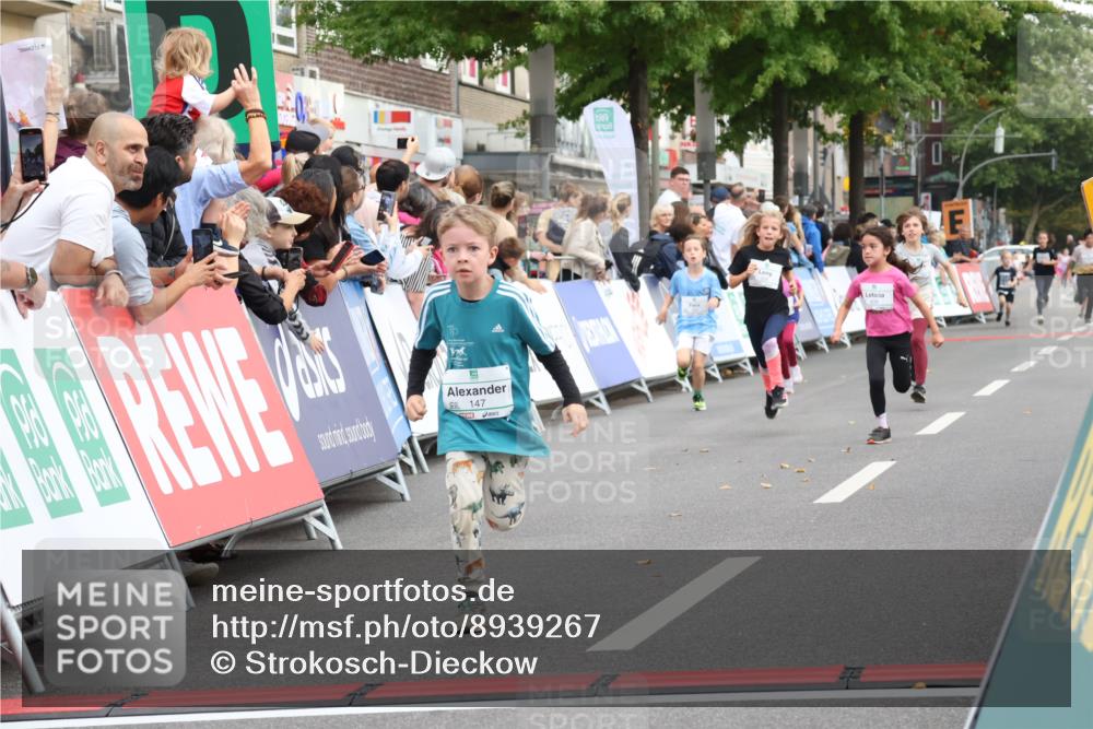 21.09.2025 - PSD Bank Halbmarathon Strokosch-Dieckow http://msf.ph/oto/8939267 21.09.2025 10:31:33 Ziel 139, 147, 148, 287, 311, 326, 352, 376, 387, 439 meine-sportfotos.de