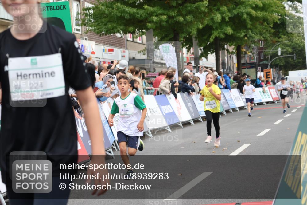21.09.2025 - PSD Bank Halbmarathon Strokosch-Dieckow http://msf.ph/oto/8939283 21.09.2025 10:31:47 Ziel 122, 224, 404, 414, 454, 463 meine-sportfotos.de