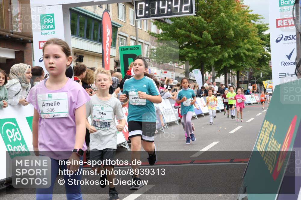 21.09.2025 - PSD Bank Halbmarathon Strokosch-Dieckow http://msf.ph/oto/8939313 21.09.2025 10:32:13 Ziel 110, 135, 137, 259, 260, 309, 336, 369, 427 meine-sportfotos.de