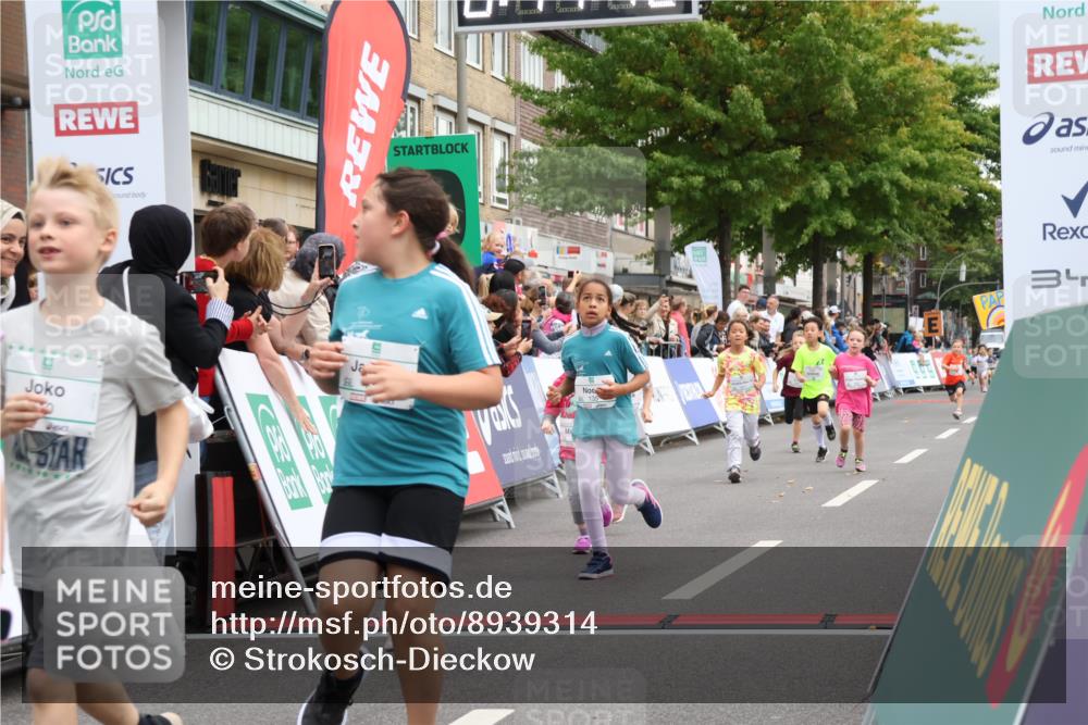 21.09.2025 - PSD Bank Halbmarathon Strokosch-Dieckow http://msf.ph/oto/8939314 21.09.2025 10:32:14 Ziel 110, 135, 137, 259, 260, 309, 322, 336, 369, 427 meine-sportfotos.de