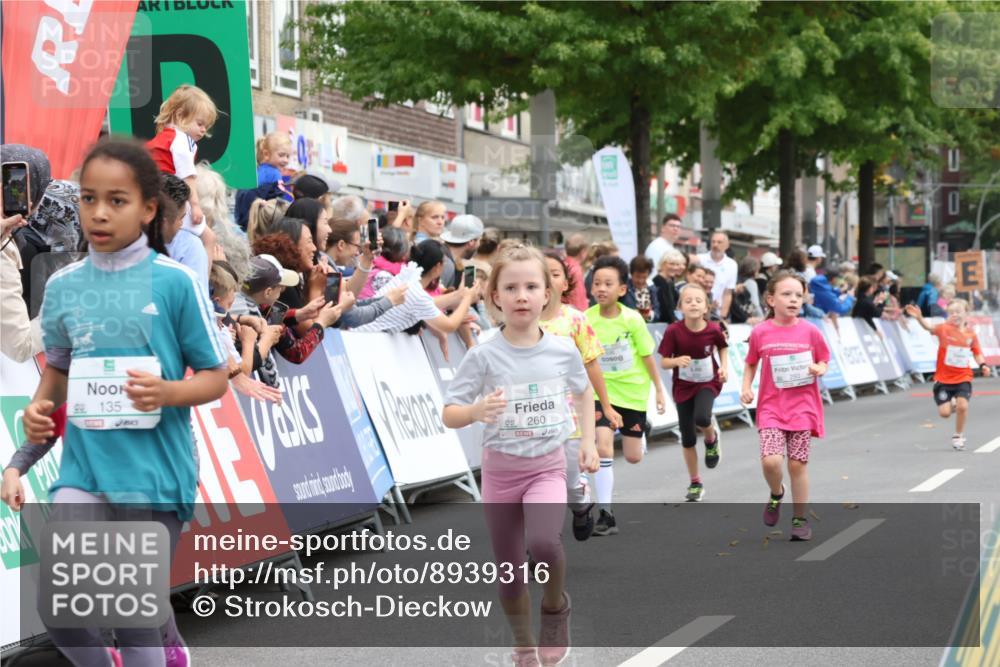 21.09.2025 - PSD Bank Halbmarathon Strokosch-Dieckow http://msf.ph/oto/8939316 21.09.2025 10:32:15 Ziel 110, 135, 137, 259, 260, 293, 309, 322, 336, 369, 385, 427 meine-sportfotos.de