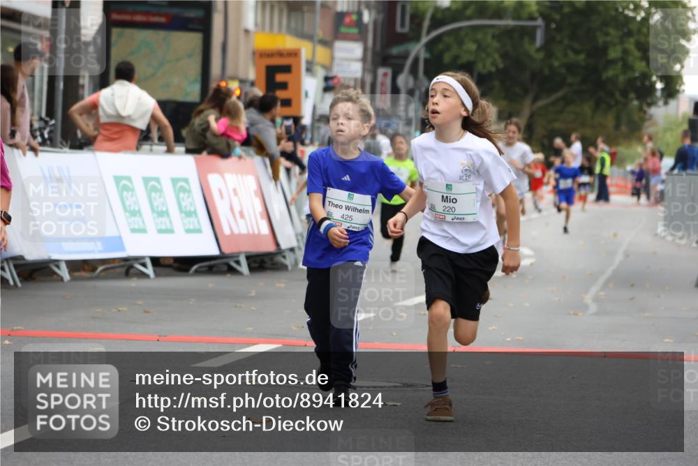 21.09.2025 - PSD Bank Halbmarathon Strokosch-Dieckow http://msf.ph/oto/8941824 21.09.2025 10:28:08 Ziel 213, 220, 240, 253, 270, 288, 356, 411, 425, 442 meine-sportfotos.de