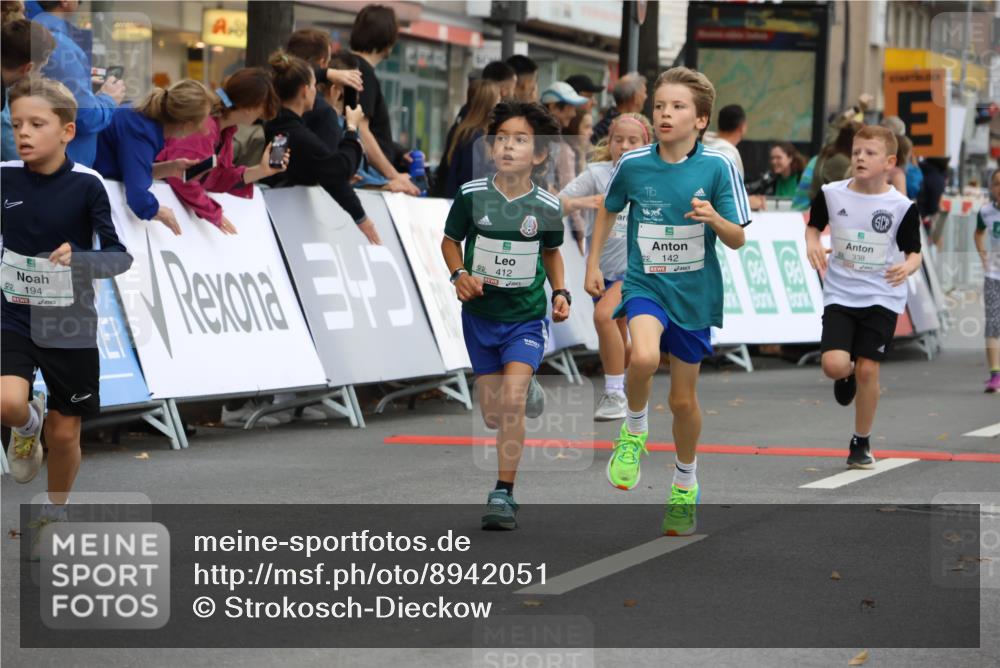 21.09.2025 - PSD Bank Halbmarathon Strokosch-Dieckow http://msf.ph/oto/8942051 21.09.2025 10:28:53 Ziel 109, 134, 142, 155, 167, 193, 194, 196, 212, 255, 258, 266, 294, 337, 338, 397, 412, 415, 440, 452 meine-sportfotos.de