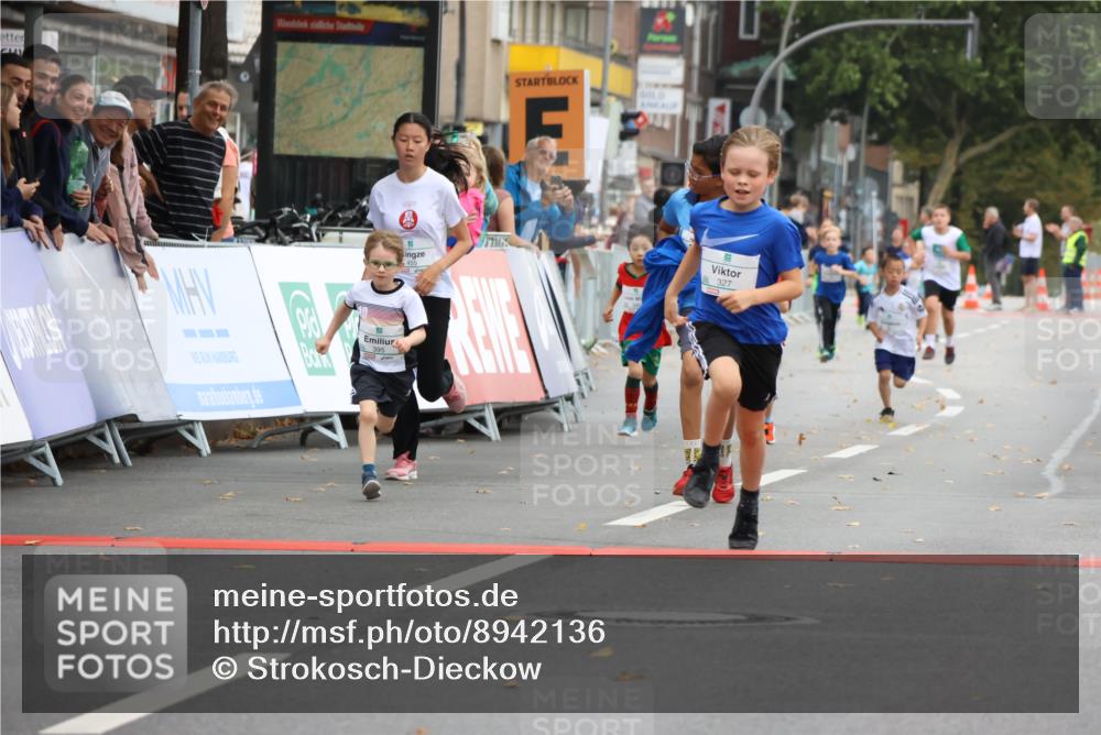 21.09.2025 - PSD Bank Halbmarathon Strokosch-Dieckow http://msf.ph/oto/8942136 21.09.2025 10:29:09 Ziel 155, 168, 261, 267, 327, 345, 390, 395, 416, 443, 452, 455 meine-sportfotos.de