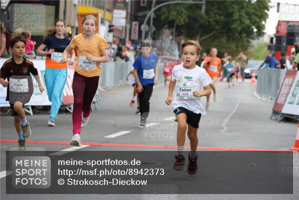 21.09.2025 - PSD Bank Halbmarathon Strokosch-Dieckow http://msf.ph/oto/8942373 21.09.2025 10:30:12 Ziel 104, 141, 145, 227, 231, 243, 245, 382, 407, 448, 458, 459 meine-sportfotos.de