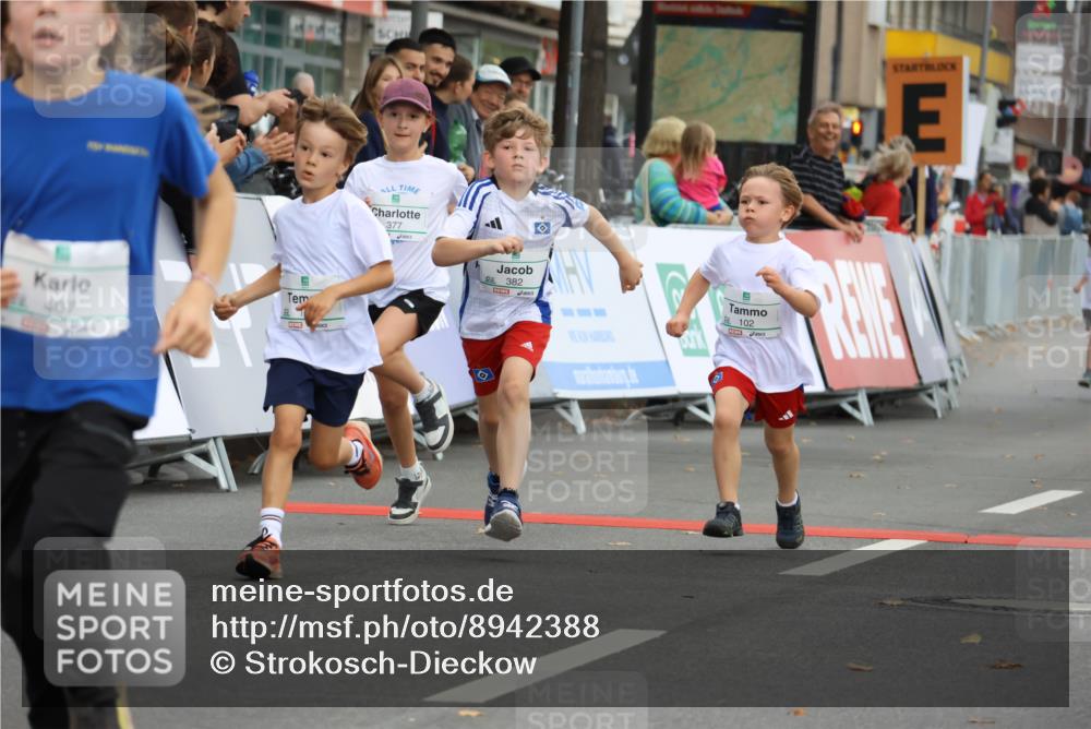 21.09.2025 - PSD Bank Halbmarathon Strokosch-Dieckow http://msf.ph/oto/8942388 21.09.2025 10:30:19 Ziel 102, 104, 227, 243, 343, 377, 382, 407, 448, 458, 459 meine-sportfotos.de