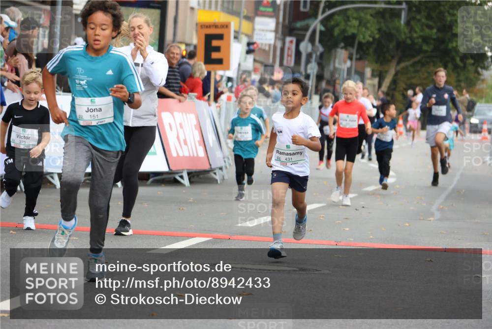 21.09.2025 - PSD Bank Halbmarathon Strokosch-Dieckow http://msf.ph/oto/8942433 21.09.2025 10:30:31 Ziel 116, 129, 151, 263, 320, 324, 344, 351, 370, 375, 405, 431, 456, 457 meine-sportfotos.de