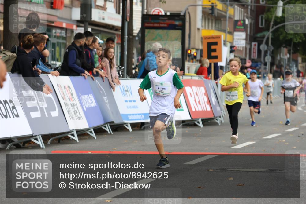21.09.2025 - PSD Bank Halbmarathon Strokosch-Dieckow http://msf.ph/oto/8942625 21.09.2025 10:31:37 Ziel 122, 224, 287, 352, 404, 454, 463 meine-sportfotos.de