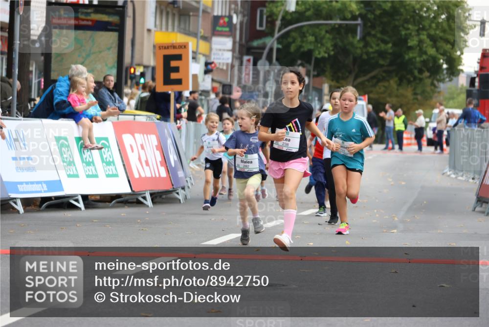 21.09.2025 - PSD Bank Halbmarathon Strokosch-Dieckow http://msf.ph/oto/8942750 21.09.2025 10:32:18 Ziel 133, 159, 173, 238, 273, 282, 368, 385 meine-sportfotos.de
