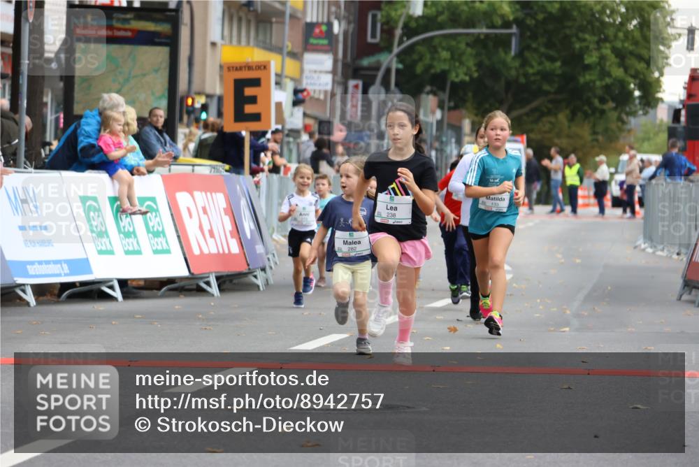 21.09.2025 - PSD Bank Halbmarathon Strokosch-Dieckow http://msf.ph/oto/8942757 21.09.2025 10:32:18 Ziel 133, 159, 173, 238, 273, 282, 368, 385 meine-sportfotos.de