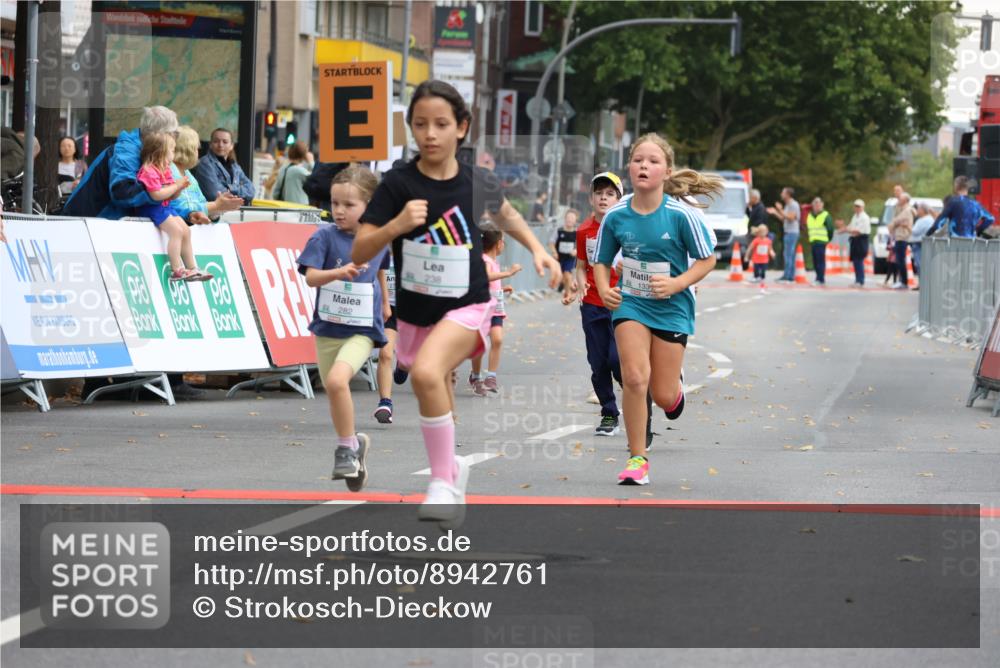 21.09.2025 - PSD Bank Halbmarathon Strokosch-Dieckow http://msf.ph/oto/8942761 21.09.2025 10:32:19 Ziel 130, 133, 159, 173, 238, 273, 282, 368, 385 meine-sportfotos.de