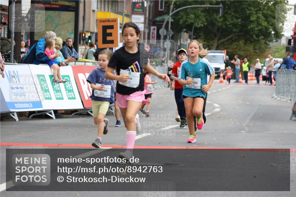 21.09.2025 - PSD Bank Halbmarathon Strokosch-Dieckow http://msf.ph/oto/8942763 21.09.2025 10:32:19 Ziel 130, 133, 159, 173, 238, 273, 282, 368, 385 meine-sportfotos.de