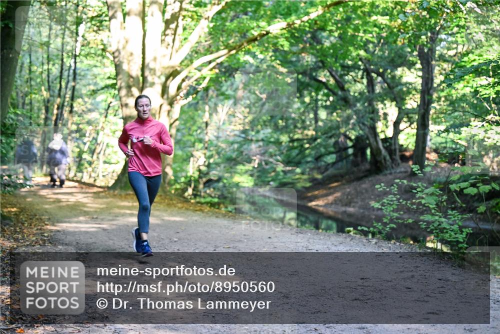 28.09.2025 - 33. Volkslauf durch das schöne Alstertal Dr. Thomas Lammeyer http://msf.ph/oto/8950560 28.09.2025 10:12:32 Laufen  meine-sportfotos.de