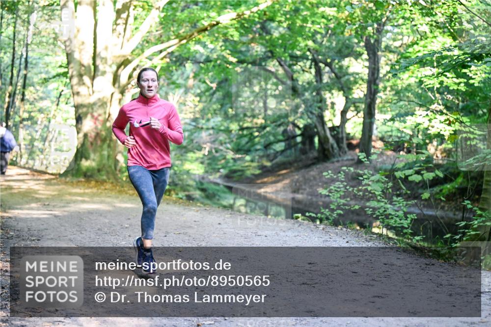 28.09.2025 - 33. Volkslauf durch das schöne Alstertal Dr. Thomas Lammeyer http://msf.ph/oto/8950565 28.09.2025 10:12:33 Laufen  meine-sportfotos.de