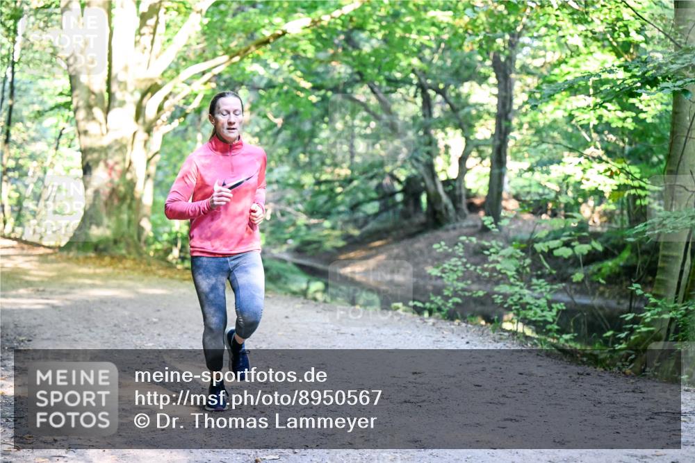 28.09.2025 - 33. Volkslauf durch das schöne Alstertal Dr. Thomas Lammeyer http://msf.ph/oto/8950567 28.09.2025 10:12:33 Laufen  meine-sportfotos.de