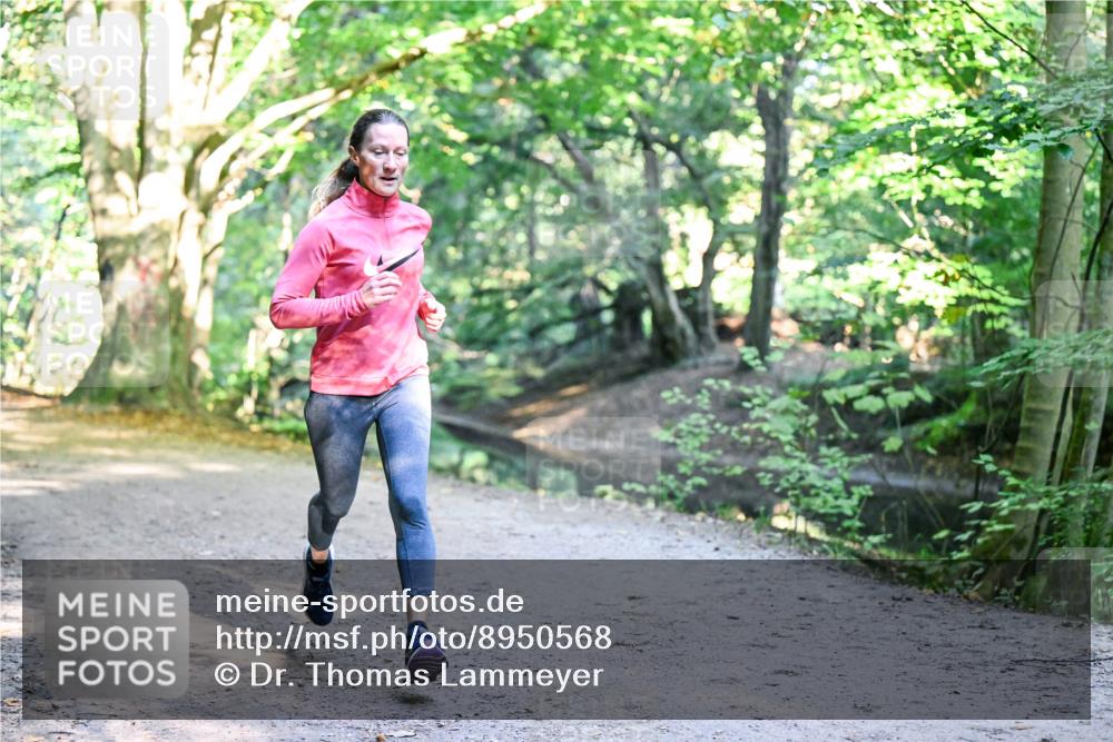 28.09.2025 - 33. Volkslauf durch das schöne Alstertal Dr. Thomas Lammeyer http://msf.ph/oto/8950568 28.09.2025 10:12:33 Laufen  meine-sportfotos.de