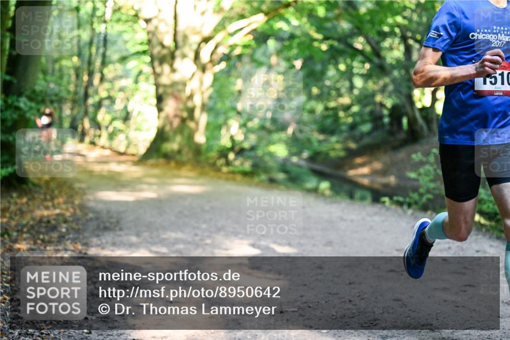 28.09.2025 - 33. Volkslauf durch das schöne Alstertal Dr. Thomas Lammeyer http://msf.ph/oto/8950642 28.09.2025 10:13:52 Laufen 2017, 1510 meine-sportfotos.de