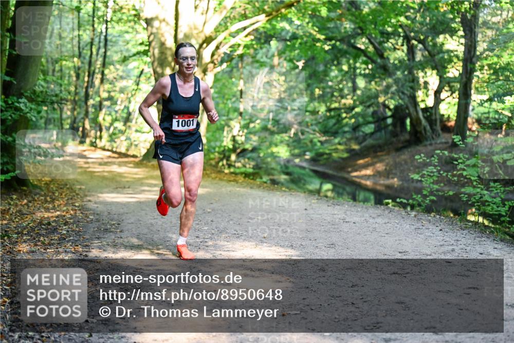28.09.2025 - 33. Volkslauf durch das schöne Alstertal Dr. Thomas Lammeyer http://msf.ph/oto/8950648 28.09.2025 10:13:57 Laufen 1001 meine-sportfotos.de