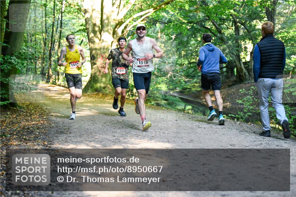 28.09.2025 - 33. Volkslauf durch das schöne Alstertal Dr. Thomas Lammeyer http://msf.ph/oto/8950667 28.09.2025 10:14:10 Laufen 1515, 1511, 1516 meine-sportfotos.de