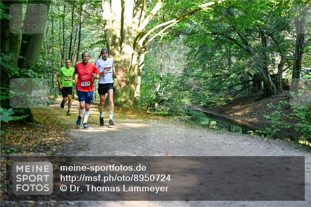 28.09.2025 - 33. Volkslauf durch das schöne Alstertal Dr. Thomas Lammeyer http://msf.ph/oto/8950724 28.09.2025 10:14:33 Laufen 1831, 1518, 801 meine-sportfotos.de